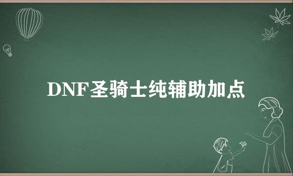 DNF圣骑士纯辅助加点