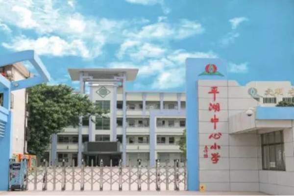 深圳市小学排根成衣急风试名一览表