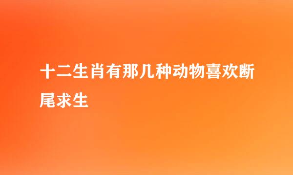 十二生肖有那几种动物喜欢断尾求生