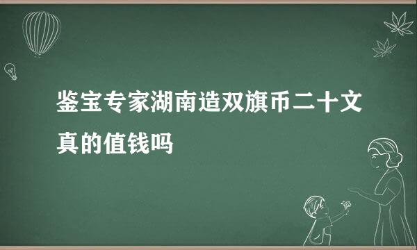 鉴宝专家湖南造双旗币二十文真的值钱吗