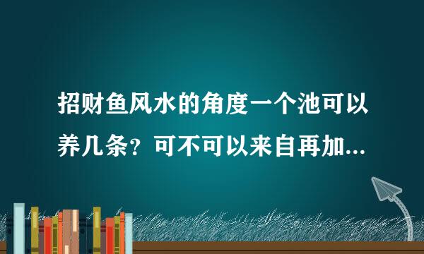 招财鱼风水的角度一个池可以养几条？可不可以来自再加上另一些风水鱼一起，如英武…