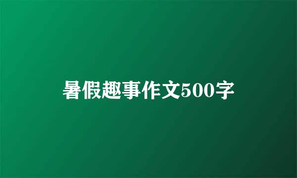 暑假趣事作文500字