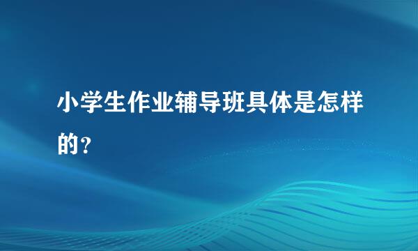 小学生作业辅导班具体是怎样的？