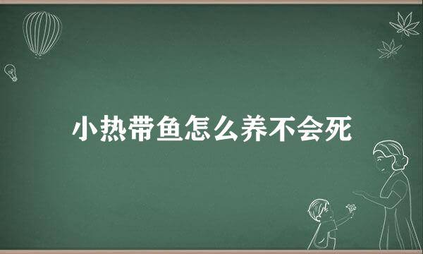 小热带鱼怎么养不会死