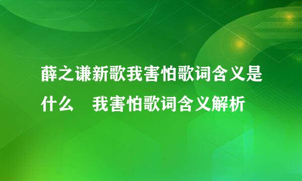 薛之谦新歌我害怕歌词含义是什么 我害怕歌词含义解析