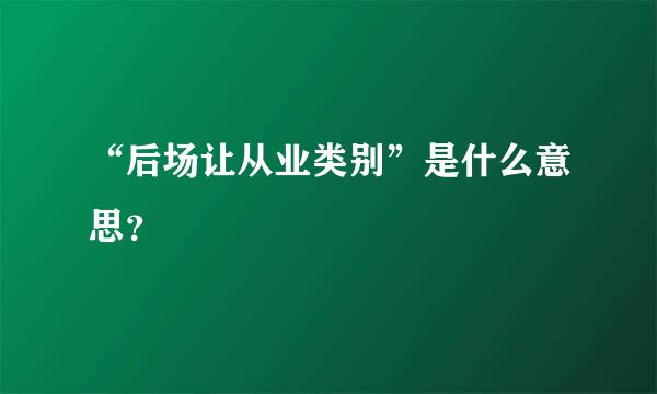 “后场让从业类别”是什么意思？