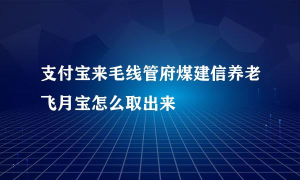 支付宝来毛线管府煤建信养老飞月宝怎么取出来