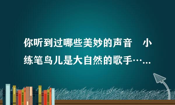 你听到过哪些美妙的声音 小练笔鸟儿是大自然的歌手……开头，不少于150字？