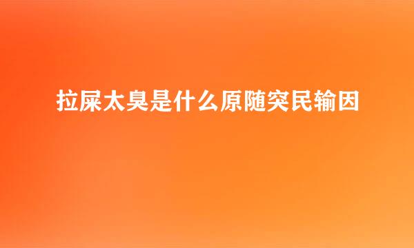 拉屎太臭是什么原随突民输因