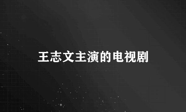 王志文主演的电视剧