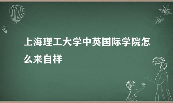 上海理工大学中英国际学院怎么来自样