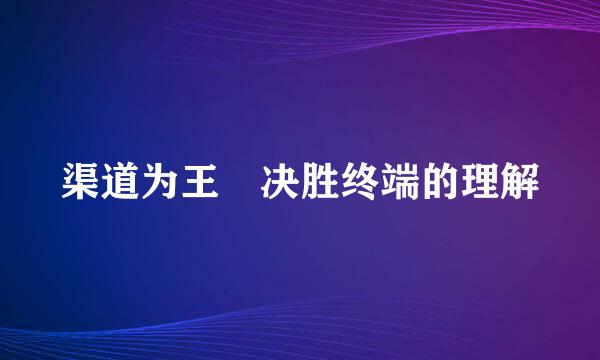 渠道为王 决胜终端的理解