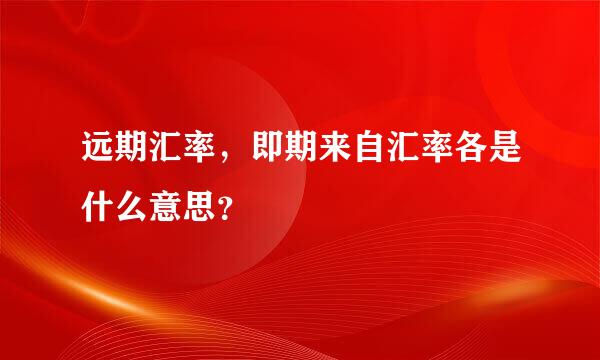 远期汇率，即期来自汇率各是什么意思？