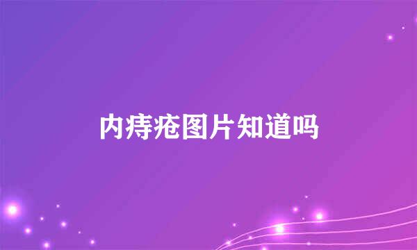 内痔疮图片知道吗