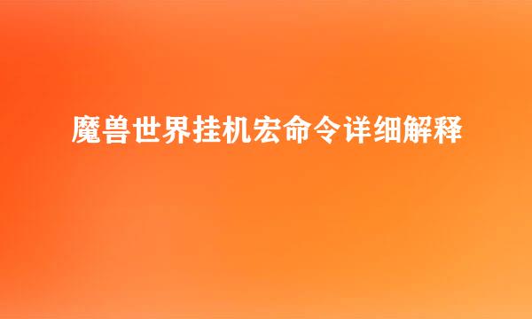 魔兽世界挂机宏命令详细解释