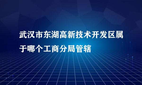 武汉市东湖高新技术开发区属于哪个工商分局管辖