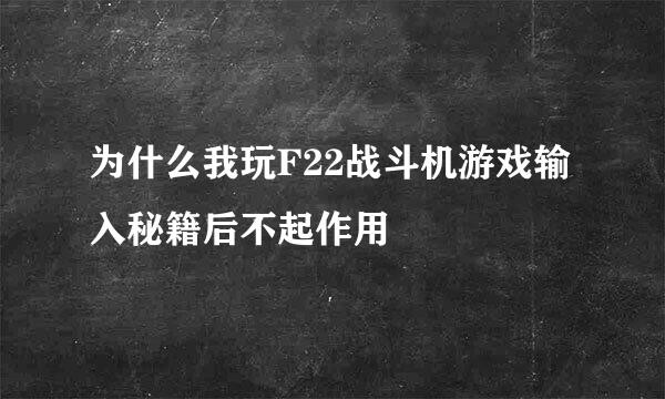 为什么我玩F22战斗机游戏输入秘籍后不起作用