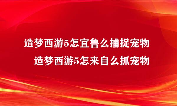 造梦西游5怎宜鲁么捕捉宠物 造梦西游5怎来自么抓宠物