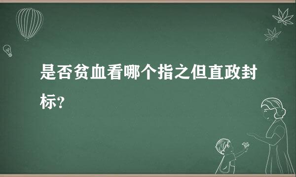 是否贫血看哪个指之但直政封标？