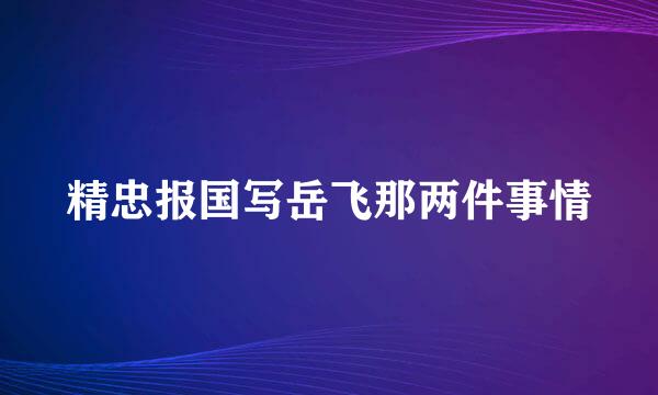 精忠报国写岳飞那两件事情