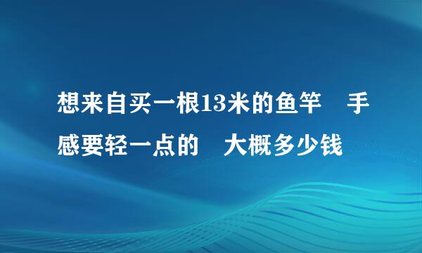 想来自买一根13米的鱼竿 手感要轻一点的 大概多少钱