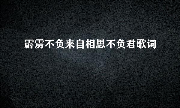 霹雳不负来自相思不负君歌词