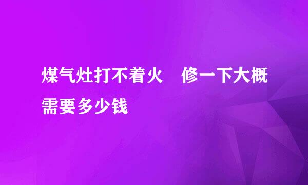 煤气灶打不着火 修一下大概需要多少钱