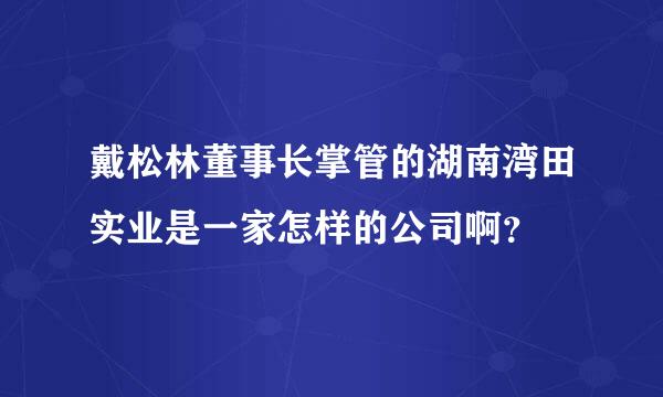 戴松林董事长掌管的湖南湾田实业是一家怎样的公司啊？