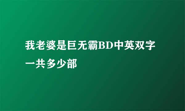 我老婆是巨无霸BD中英双字一共多少部