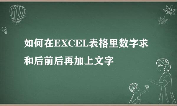 如何在EXCEL表格里数字求和后前后再加上文字