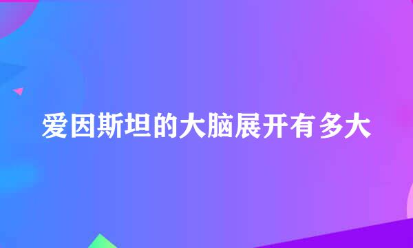 爱因斯坦的大脑展开有多大