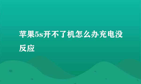 苹果5s开不了机怎么办充电没反应