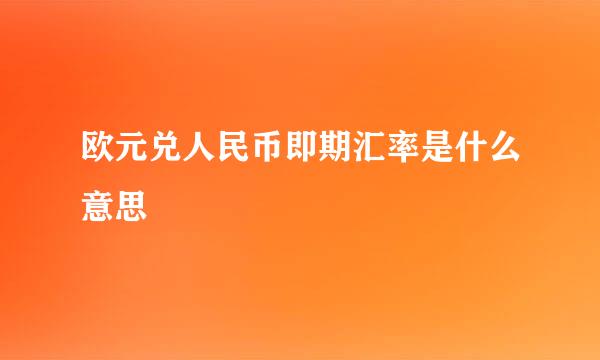 欧元兑人民币即期汇率是什么意思