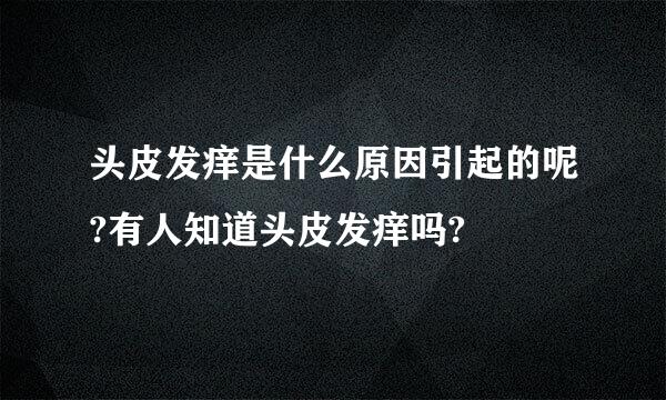 头皮发痒是什么原因引起的呢?有人知道头皮发痒吗?