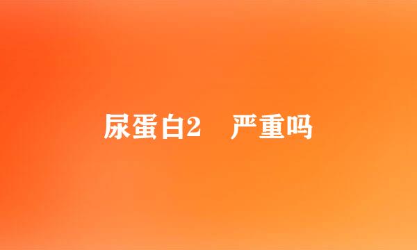 尿蛋白2 严重吗