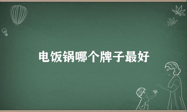 电饭锅哪个牌子最好