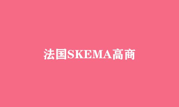 法国SKEMA高商