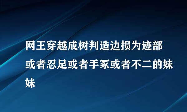 网王穿越成树判造边损为迹部或者忍足或者手冢或者不二的妹妹
