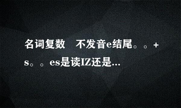 名词复数 不发音e结尾。。+s。。es是读IZ还是读s\z