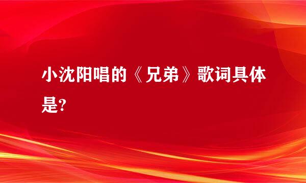 小沈阳唱的《兄弟》歌词具体是?