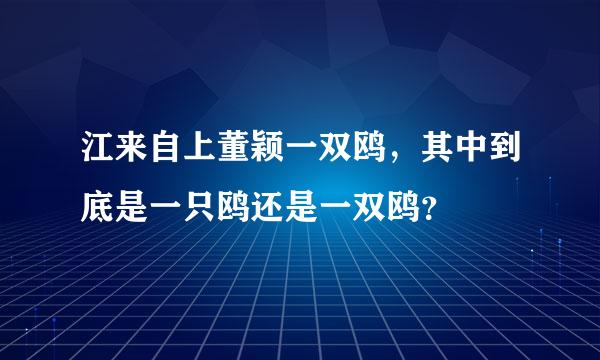 江来自上董颖一双鸥，其中到底是一只鸥还是一双鸥？