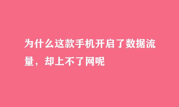 为什么这款手机开启了数据流量，却上不了网呢