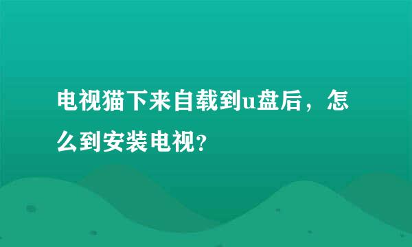 电视猫下来自载到u盘后，怎么到安装电视？