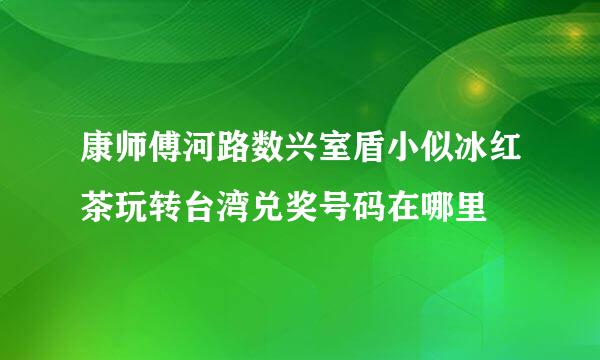 康师傅河路数兴室盾小似冰红茶玩转台湾兑奖号码在哪里