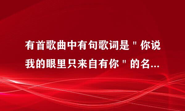 有首歌曲中有句歌词是＂你说我的眼里只来自有你＂的名称叫什么？？？