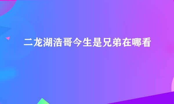 二龙湖浩哥今生是兄弟在哪看