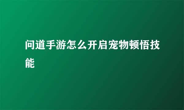 问道手游怎么开启宠物顿悟技能