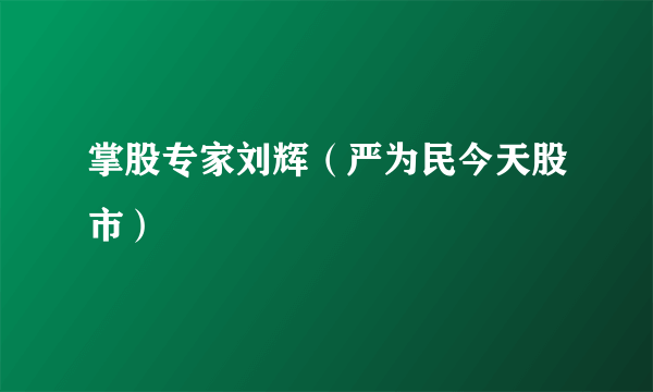 掌股专家刘辉（严为民今天股市）