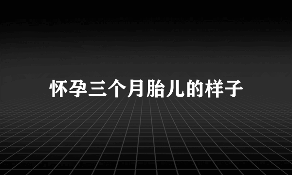 怀孕三个月胎儿的样子