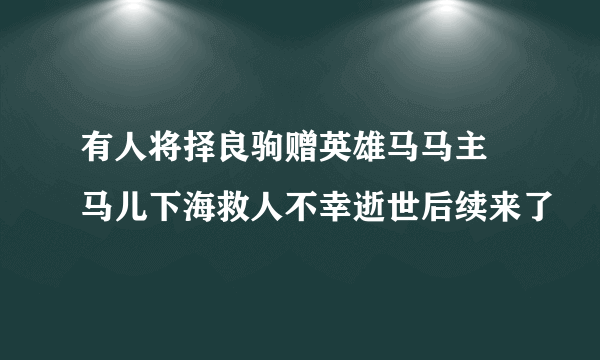 有人将择良驹赠英雄马马主 马儿下海救人不幸逝世后续来了